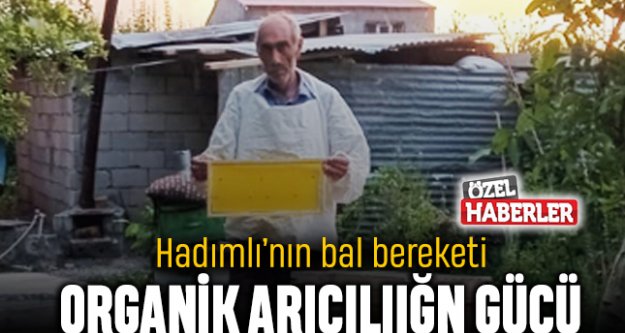 Hadımlı'nın Bal Bereketi: Organik Arıcılığın Gücü