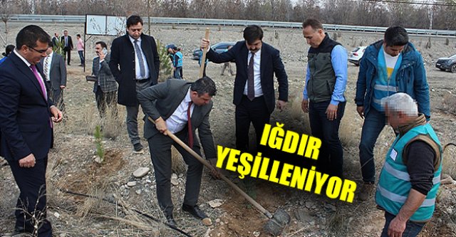 Iğdır Adliyesi'nden 'Adalet Ormanları'