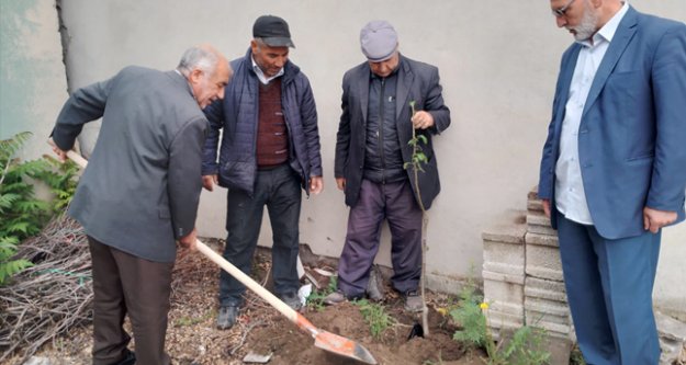 Iğdır'da da Aralık'ta da çölleşmeye geçit yok!