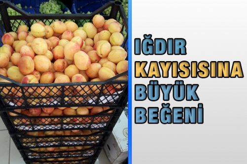 Iğdır Kayısısına Büyük Beğeni