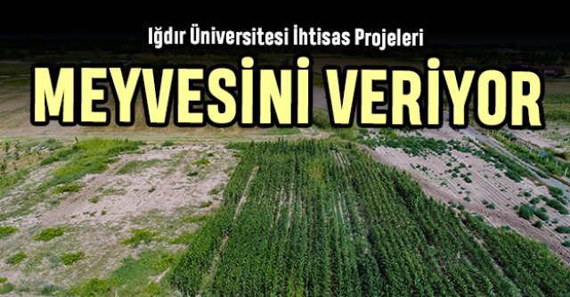 Iğdır Üniversitesi İhtisas Projeleri Meyvesini Vermeye Başladı