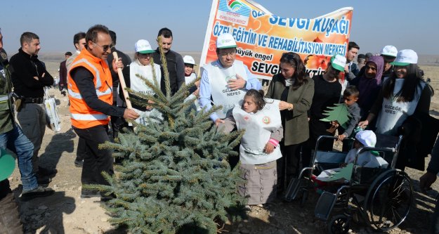 Iğdır'da 8 noktaya 111111 adet fidan dikildi