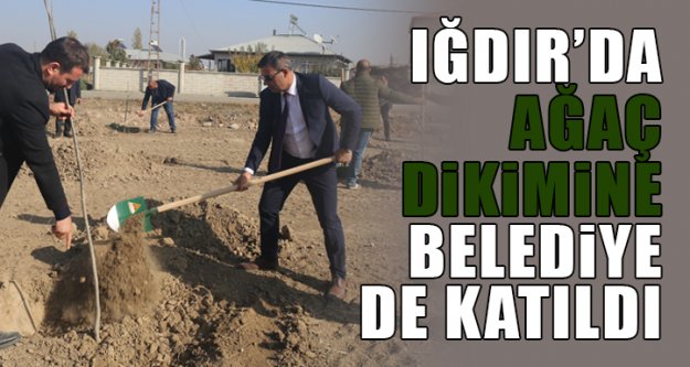 Iğdır'da ağaç dikimine Belediye de katıldı