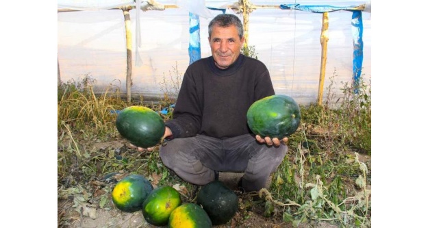 Iğdırlı çiftçi ninesinin sandığında altın değerinde tohum buldu