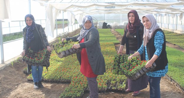 İl Tarım Ve Orman Müdürlüğünün 'Iğdır'ın Çiçek Kokulu Okulları”Projesi İle Okullarımız Çiçeklendiriliyor