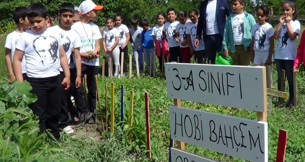 ÖĞRENCİLER ORGANİK OLARAK EKTİKLERİ SEBZELERİN HASATINI YAPIP YEDİLER.