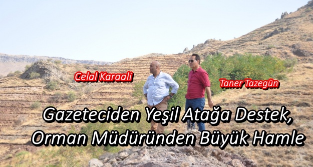 Orman Müdüründen Büyük Hamle