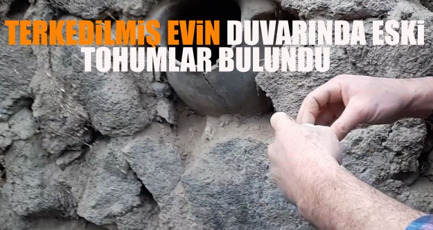 Terkedilmiş Evin Duvarında Eski Tohumlar Bulundu