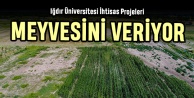 Iğdır Üniversitesi İhtisas Projeleri Meyvesini Vermeye Başladı