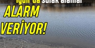 Iğdır’da Sulak Alanlar Alarm Veriyor