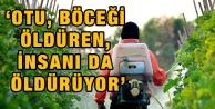 ‘Otu, böceği öldüren, insanı da öldürüyor’