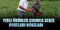Yerli Ürünler Çıkınca Sebze Fiyatları Ucuzladı.
