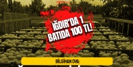 Bilgihan Ova: Iğdır'ın sahibi yok mu?