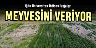 Iğdır Üniversitesi İhtisas Projeleri Meyvesini Vermeye Başladı