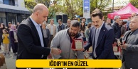 Iğdır'ın en güzel buzağısı, oğlağı, kuzusu seçildi