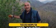 Tuzluca Hadımlı'da yeşil devrim