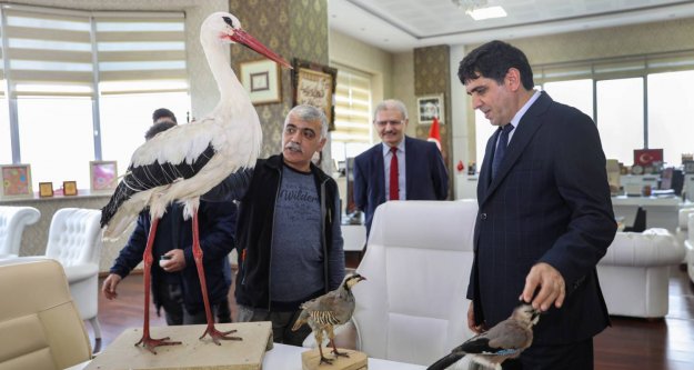 Türkoğlu Iğdır Üniversitesine Mumyalanmış Kuşlar Hediye Etti