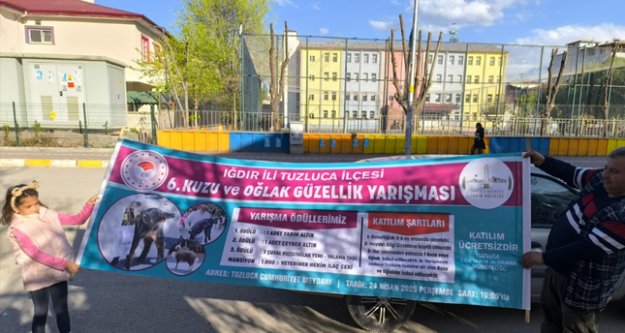 Tuzluca#039;da Buzağı, Oğlak ve Kuzu Güzellik Yarışması