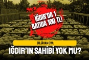 Bilgihan Ova: Iğdır'ın sahibi yok mu?