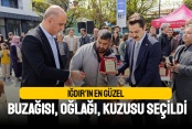 Iğdır’ın en güzel buzağısı, oğlağı, kuzusu seçildi