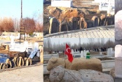 AÇIK HAVA MÜZESİNİ ANDIRAN BİR MEZARLIK