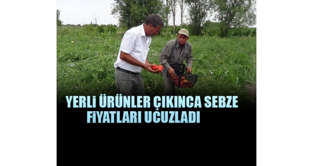 Yerli Ürünler Çıkınca Sebze Fiyatları Ucuzladı.