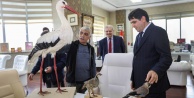 Türkoğlu Iğdır Üniversitesine Mumyalanmış Kuşlar Hediye Etti