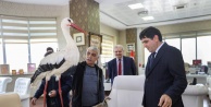 Türkoğlu Iğdır Üniversitesine Mumyalanmış Kuşlar Hediye Etti